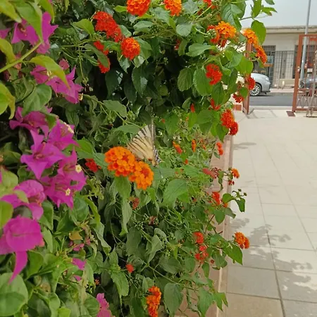 Bebo House * Fiumicino